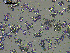  ( - EQU4546_Aaga)  @11 [ ] by-nc-sa  INVEMAR INVEMAR-BEM