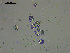  ( - EQU4546_Aaga)  @11 [ ] by-nc-sa  INVEMAR INVEMAR-BEM