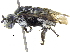  (Thyreus albomaculatus - 06747A09-ZAF)  @14 [ ] CreativeCommons - Attribution (2015) CBG Photography Group Centre for Biodiversity Genomics