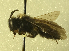  ( - 07-WA-2135)  @12 [ ] CreativeCommons - Attribution Share-Alike (2019) Royal Saskatchewan Museum Royal Saskatchewan Museum