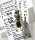  (Andrena illinoiensis - 02-UT-2675)  @13 [ ] CreativeCommons - Attribution Non-Commercial Share-Alike (2010) Unspecified York University