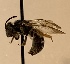 ( - 06-MD-2057)  @11 [ ] CreativeCommons - Attribution Share-Alike (2019) Cory Sheffield Royal Saskatchewan Museum