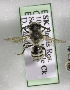  (Andrena columbiana - CCDB-09665 E06)  @14 [ ] Unspecified (default): All Rights Reserved (2011) Unspecified York University