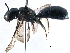  ( - CCDB-09869 G07)  @13 [ ] CreativeCommons - Attribution (2016) CBG Photography Group Centre for Biodiversity Genomics