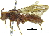  ( - CCDB-09916 A04)  @11 [ ] CreativeCommons - Attribution (2016) CBG Photography Group Centre for Biodiversity Genomics