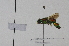 ( - FE524)  @11 [ ] by-nc-nd (2021) Unspecified University of Vienna, Department of Botany and Biodiversity Research