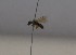  ( - 1040.MB)  @11 [ ] Copyright (2019) MCAST Unspecified