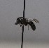  ( - 1140.MB)  @11 [ ] Copyright (2019) MCAST Unspecified