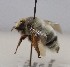  ( - 1507.MB)  @11 [ ] Copyright (2019) MCAST Unspecified