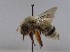 ( - 1508.MB)  @11 [ ] Copyright (2019) MCAST Unspecified