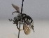  ( - 1698.MB)  @11 [ ] Copyright (2019) MCAST Unspecified
