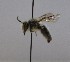  ( - 459.MB)  @11 [ ] Copyright (2019) MCAST Unspecified