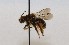  ( - 559.MB)  @11 [ ] Copyright (2019) MCAST Unspecified