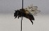  ( - 925.MB)  @11 [ ] Copyright (2019) MCAST Unspecified