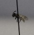  ( - 939.MB)  @11 [ ] Copyright (2019) MCAST Unspecified