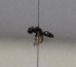  ( - 993.MB)  @11 [ ] Copyright (2019) MCAST Unspecified