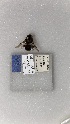  (Centris haemorrhoidalis - ECN-PR-2)  @11 [ ] by-nc-nd (2022) Elif Kardas University of Puerto Rico