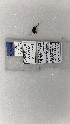  (Exomalopsis bahamica - ECN-PR-49)  @11 [ ] by-nc-nd (2022) Elif Kardas University of Puerto Rico
