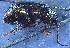  ( - IUP-2019Apr17-S3-T5-2)  @11 [ ] nrr (2021) Ellen H. Yerger Indiana University of Pennsylvania