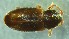  ( - IUP-2019Apr1-S4-T22-3)  @11 [ ] nrr (2021) Ellen H. Yerger Indiana University of Pennsylvania