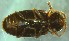  ( - IUP-2019Apr1-S4-T22-3)  @11 [ ] nrr (2021) Ellen H. Yerger Indiana University of Pennsylvania