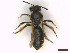  ( - IRBI_Imagho_AT9)  @11 [ ] CreativeCommons  Attribution Non-Commercial Share-Alike (2022) Lorène Marchal IRBI