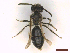  ( - IRBI_Imagho_AU5)  @11 [ ] CreativeCommons  Attribution Non-Commercial Share-Alike (2022) Lorène Marchal IRBI