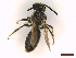  ( - IRBI_Imagho_AV10)  @11 [ ] CreativeCommons  Attribution Non-Commercial Share-Alike (2022) Lorène Marchal IRBI