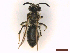  ( - IRBI_Imagho_AV9)  @11 [ ] CreativeCommons  Attribution Non-Commercial Share-Alike (2022) Lorène Marchal IRBI