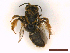  ( - IRBI_Imagho_AW6)  @11 [ ] CreativeCommons  Attribution Non-Commercial Share-Alike (2022) Lorène Marchal IRBI