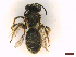  ( - IRBI_Imagho_AY1)  @11 [ ] CreativeCommons  Attribution Non-Commercial Share-Alike (2022) Lorène Marchal IRBI