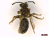 ( - IRBI_Imagho_AY6)  @11 [ ] CreativeCommons  Attribution Non-Commercial Share-Alike (2022) Lorène Marchal IRBI