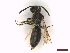 ( - IRBI_Imagho_BC10)  @11 [ ] CreativeCommons  Attribution Non-Commercial Share-Alike (2022) Lorène Marchal IRBI