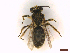 ( - IRBI_Imagho_BI1)  @11 [ ] CreativeCommons  Attribution Non-Commercial Share-Alike (2022) Lorène Marchal IRBI