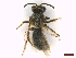  ( - IRBI_Imagho_BM2)  @11 [ ] CreativeCommons  Attribution Non-Commercial Share-Alike (2022) Lorène Marchal IRBI