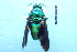  ( - CLV7784)  @11 [ ] CreativeCommons  Attribution Non-Commercial Share-Alike (2019) Carlos Lopez Vaamonde Institut National de la Recherche Agronomique, Zoologie Forestiere