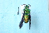  ( - CLV7836)  @11 [ ] CreativeCommons  Attribution Non-Commercial Share-Alike (2019) Carlos Lopez Vaamonde Institut National de la Recherche Agronomique, Zoologie Forestiere