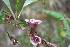  ( - FML-ANG-000027a)  @11 [ ] No Rights Reserved  Unspecified Unspecified