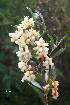  ( - FML-ANG-000022a)  @11 [ ] Copyright  Unspecified Unspecified
