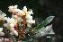  ( - FML-ANG-000022a)  @11 [ ] No Rights Reserved  Unspecified Unspecified
