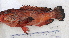  ( - B060724TP3)  @11 [ ] copyright © (2025) Houangninan Emmanuel Calebe MIDINOUDEWA Institut de Recherches Halieutiques et Oceanologiques du Benin