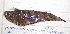  ( - B060724TP5)  @11 [ ] copyright © (2025) Houangninan Emmanuel Calebe MIDINOUDEWA Institut de Recherches Halieutiques et Oceanologiques du Benin