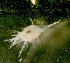 ( - 0528083BT)  @11 [ ] Copyright (2008) Unspecified University of Alaska, Fairbanks
