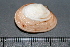  ( - 09BENTH024)  @13 [ ] CreativeCommons - Attribution (2011) BOLD Centre for Biodiversity Genomics