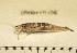  ( - 09BENTH138)  @13 [ ] CreativeCommons - Attribution (2011) BOLD Centre for Biodiversity Genomics