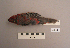  ( - UWBM 44628)  @14 [ ] Copyright (2008) Unspecified Burke Museum of Natural History and Culture