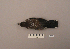  ( - UWBM 46286)  @14 [ ] Copyright (2008) Unspecified Burke Museum of Natural History and Culture