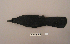  (Corvus macrorhynchos - UWBM 47041)  @13 [ ] Copyright (2008) Unspecified Burke Museum of Natural History and Culture