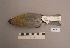  ( - UWBM 51642)  @12 [ ] Copyright (2008) Unspecified Burke Museum of Natural History and Culture