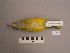  ( - UWBM 51749)  @13 [ ] Copyright (2008) Unspecified Burke Museum of Natural History and Culture
